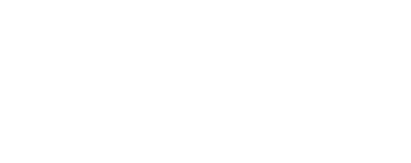 Vladimir Kovrizhnykh Logo